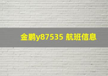 金鹏y87535 航班信息